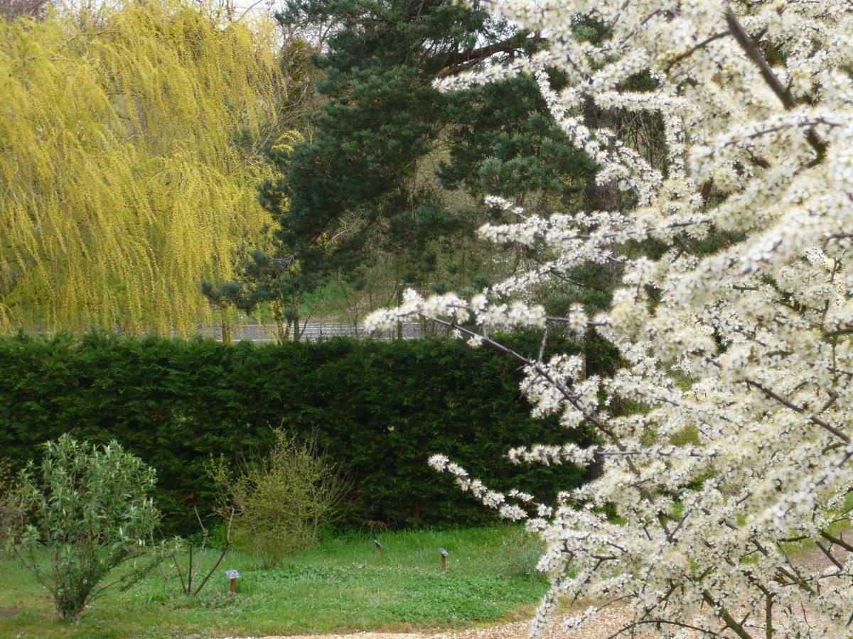 Les Jardins De Terrefort Couette-café *